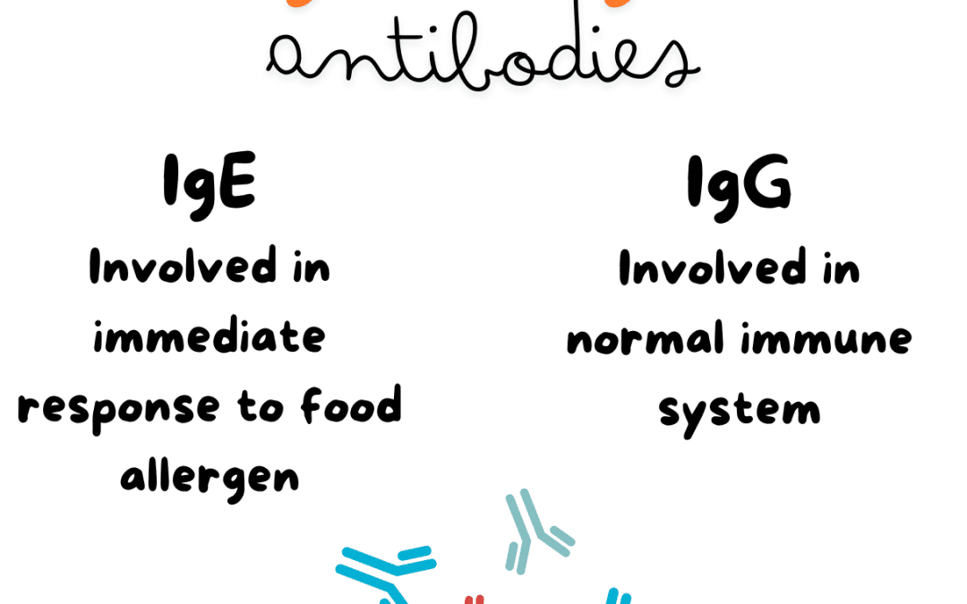 IgE vs IgG in food allergy; Are they the same? [2025]